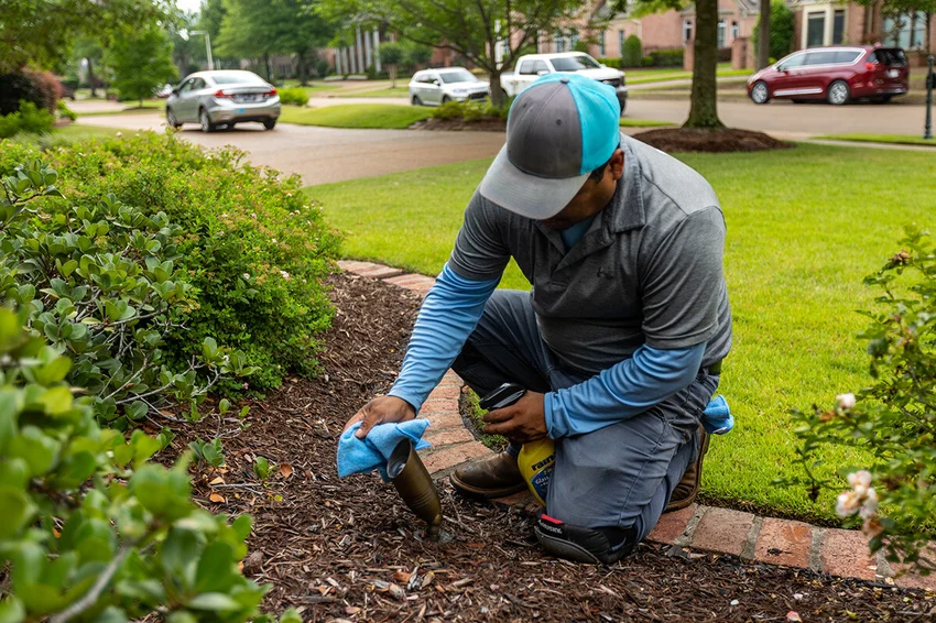 outdoor landscape lighting maintenance team